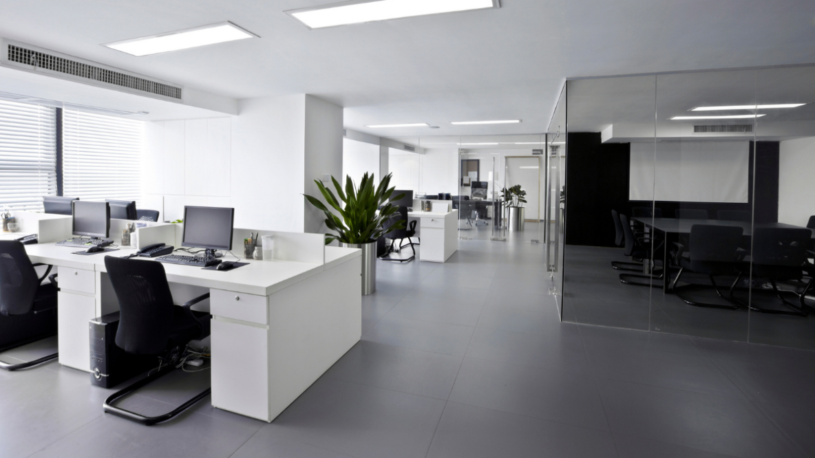 Company size career development - large white office space with plants