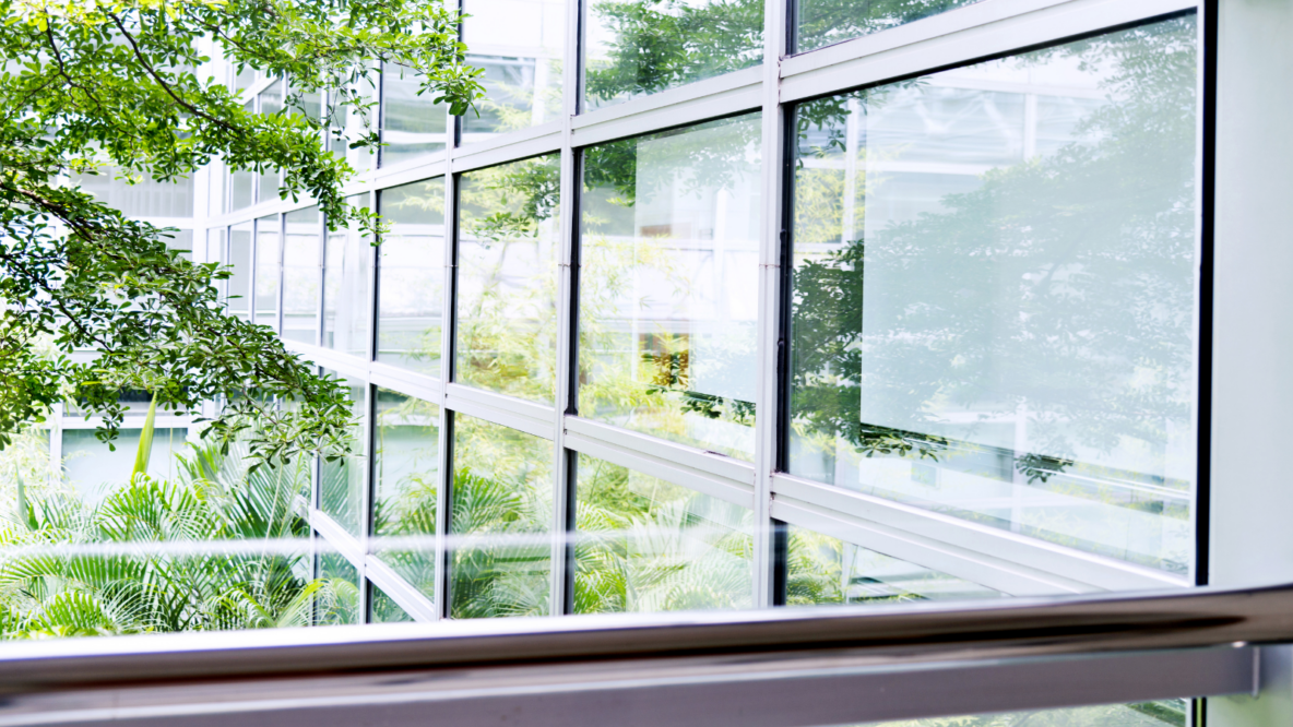 picture office windows facing trees