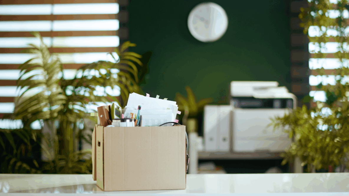 cardboard box filled with office supplies green background